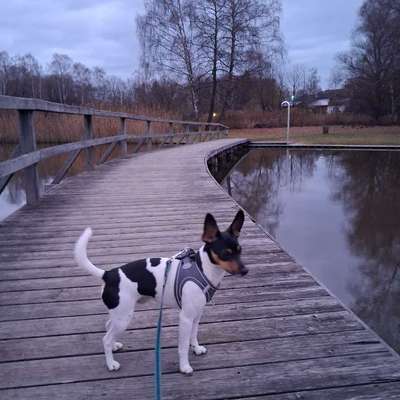 Ich mag keine Traktoren,LKW ,und besonders Anhänger-Beitrag-Bild