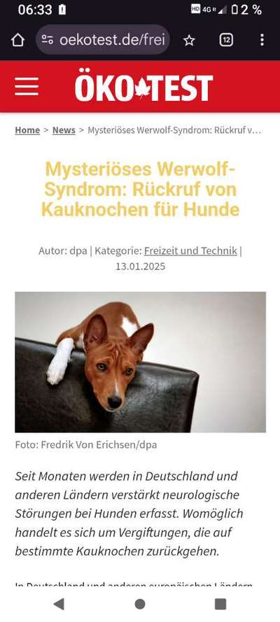 „Werwolfsyndrom“ bei Hunden – Was ist mit unseren Kauknochen los? 🐺🦴-Beitrag-Bild