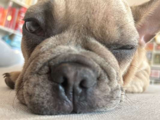 42. Handy Fotochallenge - Den richtigen Riecher haben-Beitrag-Bild