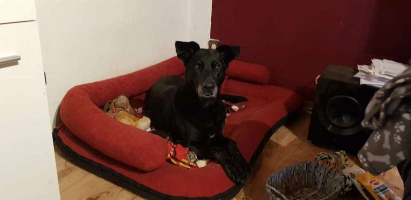 Lieblingsbild-Beitrag-Bild