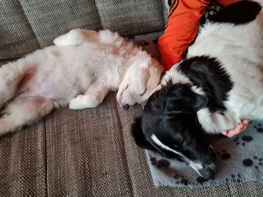 Lieblingsbild-Beitrag-Bild