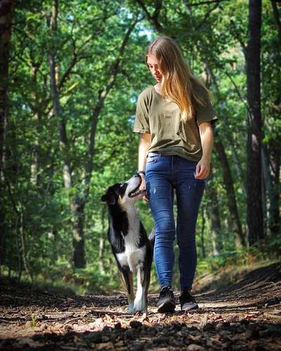 Hundetreffen-Spaziergang an der Leine-Bild