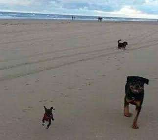 Theos  Fotochallenge Nummer 2-Beitrag-Bild