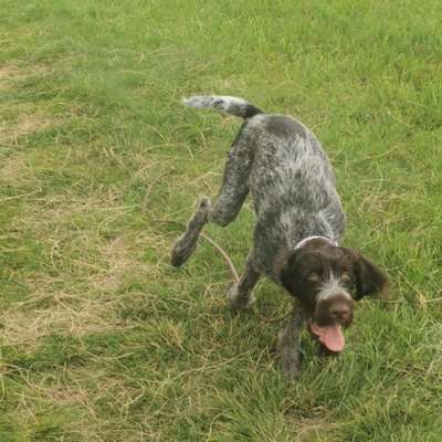 Das beste grinsefoto-Beitrag-Bild