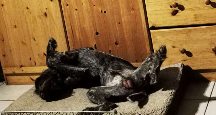 Foto Challenge Nr. 134-Beitrag-Bild