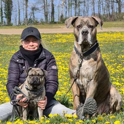 Hundeschulen-Hundeschule Xanten-Bild