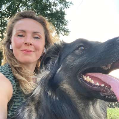 Hundetreffen-Spielrunde mit Ausdauer-Profilbild