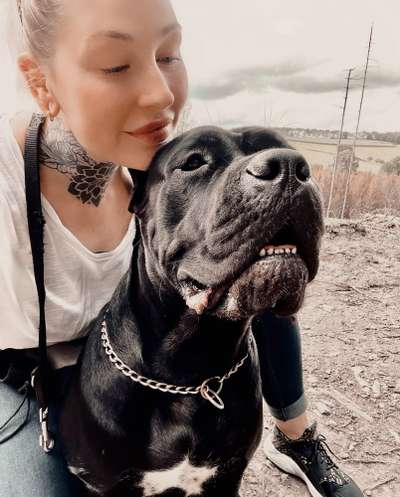 Hundmenschfotos-Beitrag-Bild