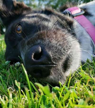 Fotowettbewerb Natur-Beitrag-Bild