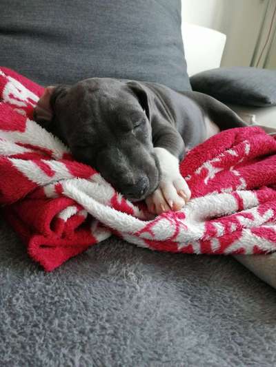 Sie werden so schnell erwachsen ...-Beitrag-Bild