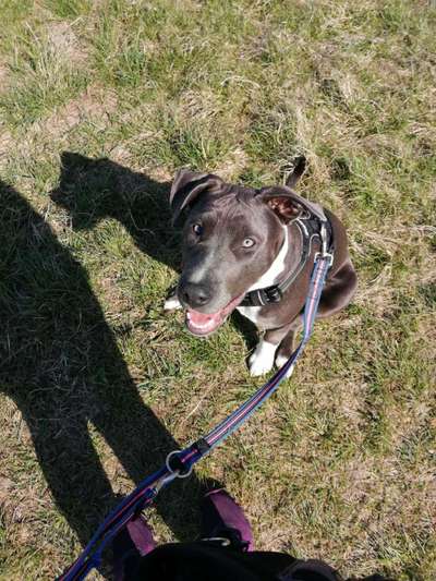 Lieblingsbild :D-Beitrag-Bild