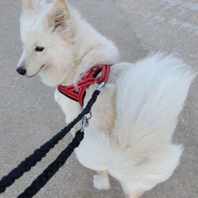 Barbara's Profilbild