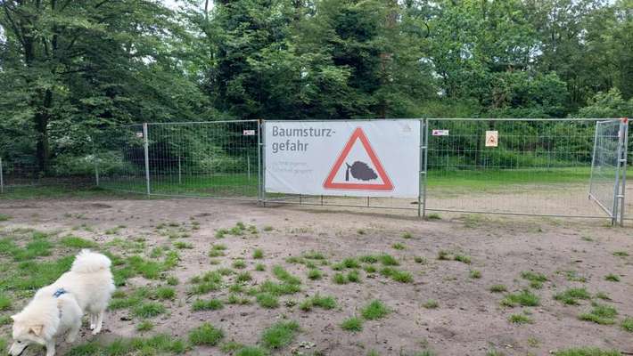 Hundeauslaufflächen in Karlsruhe, Hundegarten für Karlsruhe-Beitrag-Bild