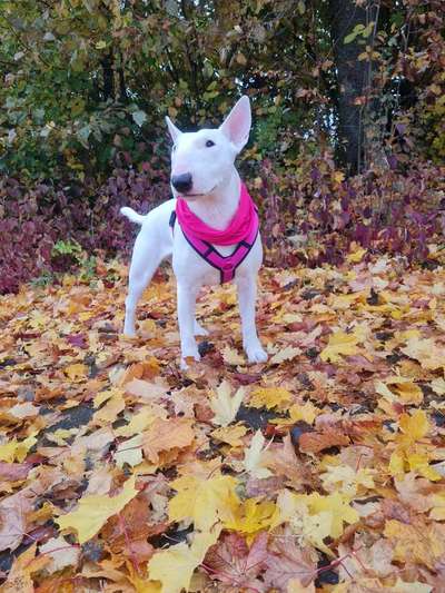 Handy-Foto-Challange Nr.9-Beitrag-Bild