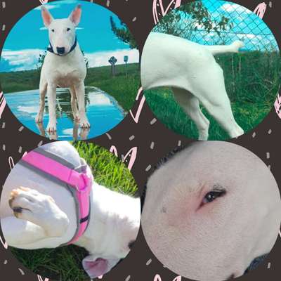 Blick fürs Detail!-Beitrag-Bild