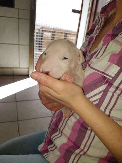 Sie werden so schnell erwachsen ...-Beitrag-Bild