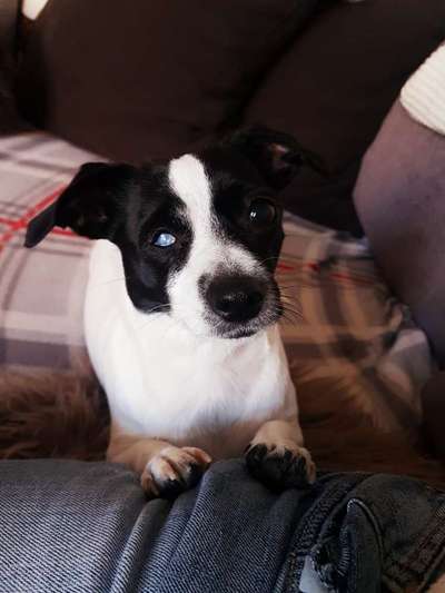 Blick fürs Detail!-Beitrag-Bild