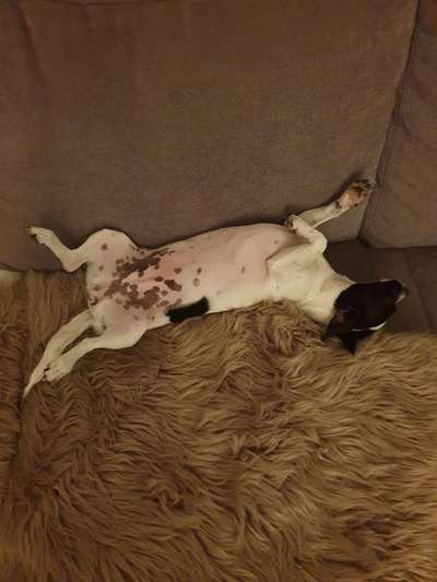 Blick fürs Detail!-Beitrag-Bild