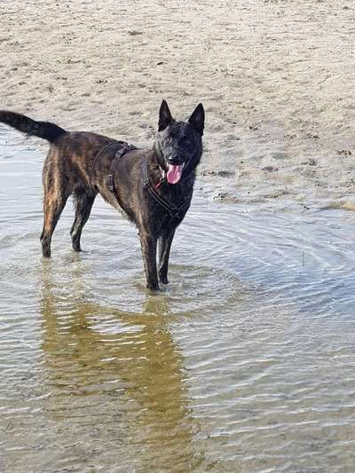 Lieblingsbild-Beitrag-Bild