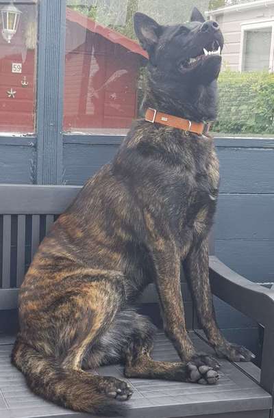 Lieblingsbild-Beitrag-Bild