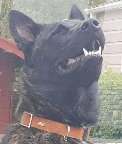 Her mit dem Grimassen-Beitrag-Bild