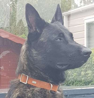 Fotochallange Nr. 57     PORTRÄT.   Beendet!!!!!!!!-Beitrag-Bild