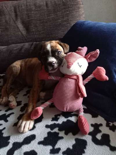 Fotochallange Nummer 5-Beitrag-Bild