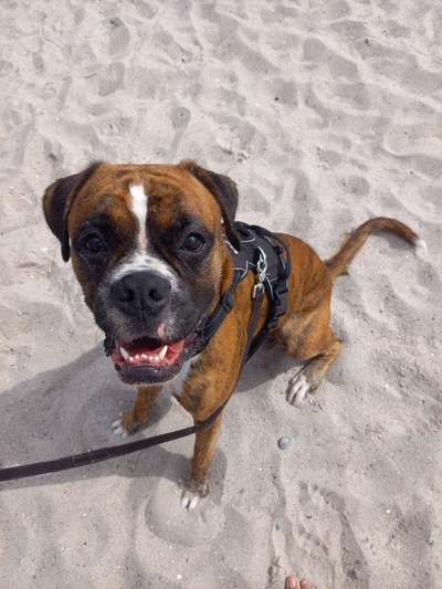 Handy-Foto Challange Nr. 10-Beitrag-Bild