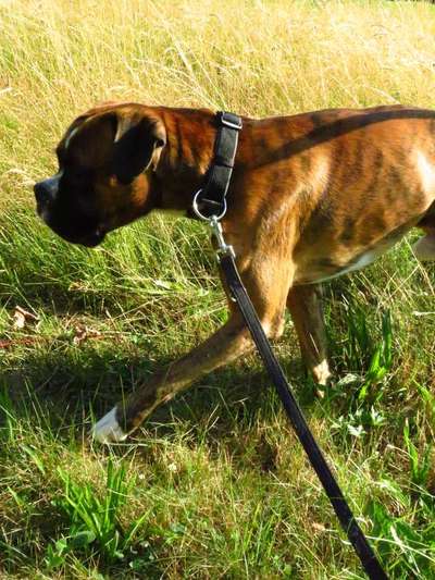 Foto-Challange No.1 - Alles aber nicht die Kamera-Beitrag-Bild