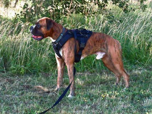 Doppelgänger gesucht !-Beitrag-Bild