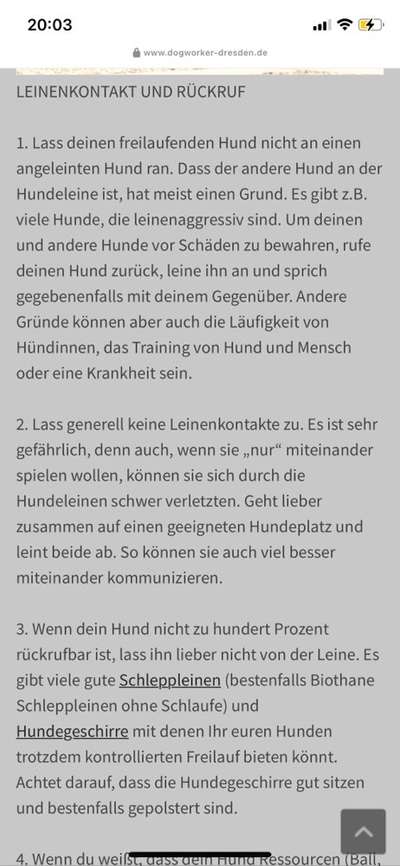 Andere Hunde ohne Leine-Beitrag-Bild