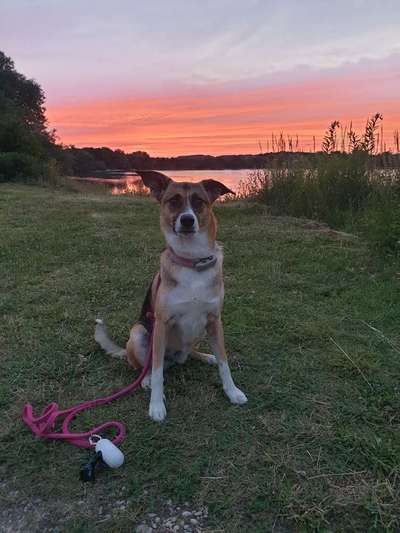 Lieblingsbild-Beitrag-Bild