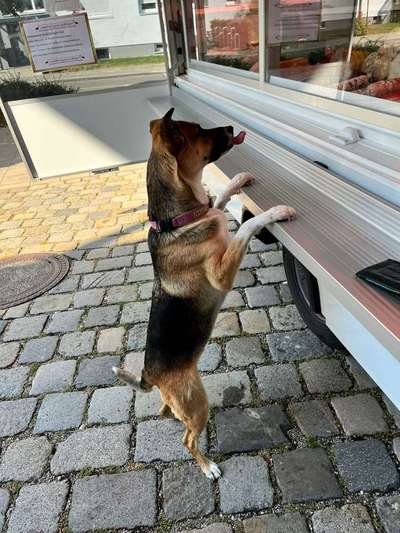 LUSTIGE FOTOS! WER KANN MITHALTEN?-Beitrag-Bild