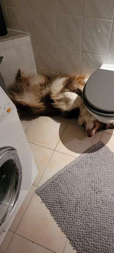 Fotochallenge 128-Beitrag-Bild