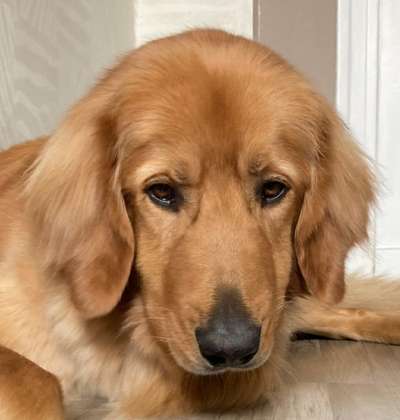 Fotochallange Nr. 57     PORTRÄT.   Beendet!!!!!!!!-Beitrag-Bild