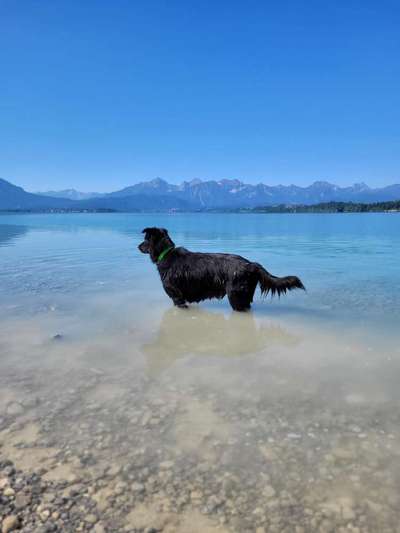 Dogorama Photo Challenge - schönster Gassiausblick-Beitrag-Bild