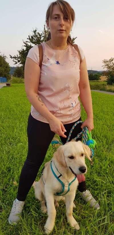 Wo sind die Golden Retriever Liebhaber?-Beitrag-Bild