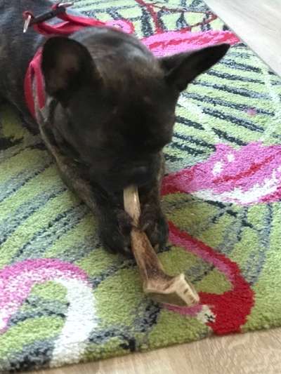 Lieblingsbild-Beitrag-Bild