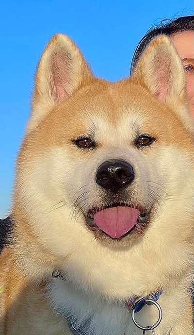 Fotochallange Nr. 57     PORTRÄT.   Beendet!!!!!!!!-Beitrag-Bild