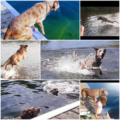 Fotochallenge 27-Beitrag-Bild