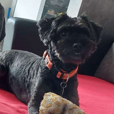 Suchmeldung-Happy-Bild