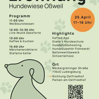 Hundeauslaufgebiet-Hundewiese ossweil-Bild