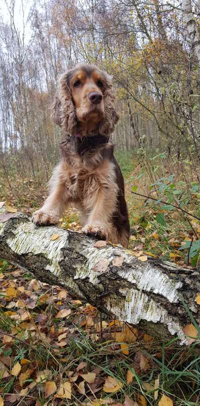 Fotowettbewerb Natur-Beitrag-Bild