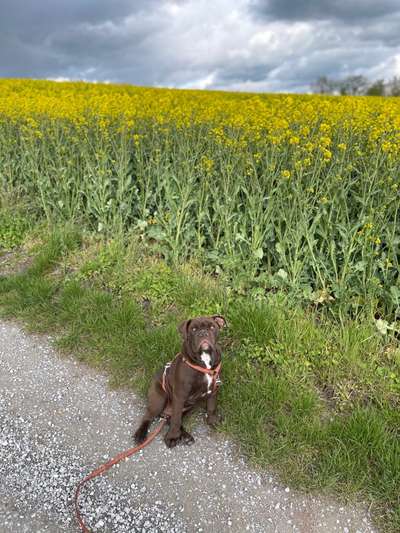 OEB Besitzer gesucht 😊-Beitrag-Bild