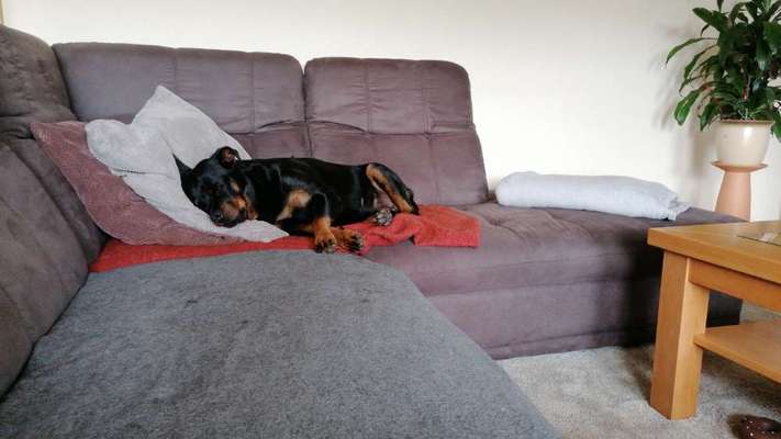 Die unbequemsten und lustigsten Schlafpositionen-Beitrag-Bild