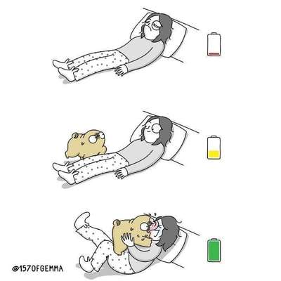 Hunde Memes-Beitrag-Bild