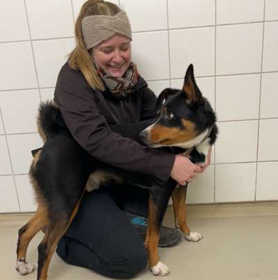 Hundetreffen-Gassirunden/Alltagstraining