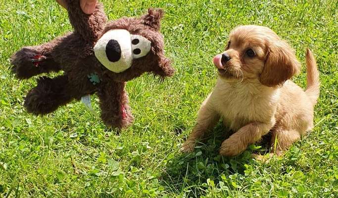 Fotochallenge Nr. 67: Euer Lieblingsbild-Beitrag-Bild