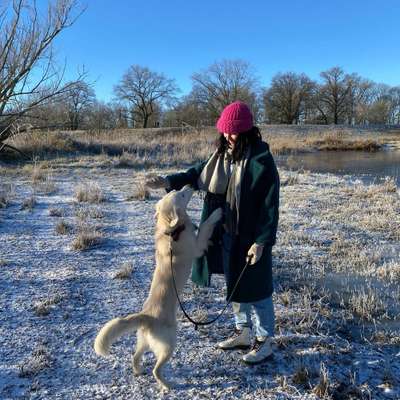 Hundetreffen-Entspannte Hunderunde