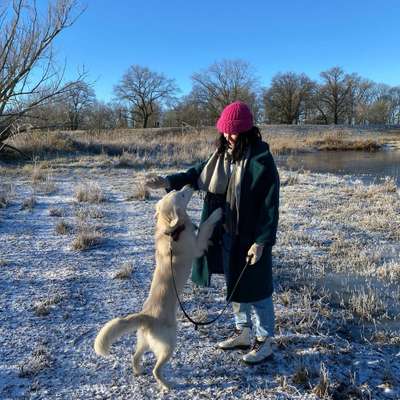 Hundetreffen-Entspannte Hunderunde